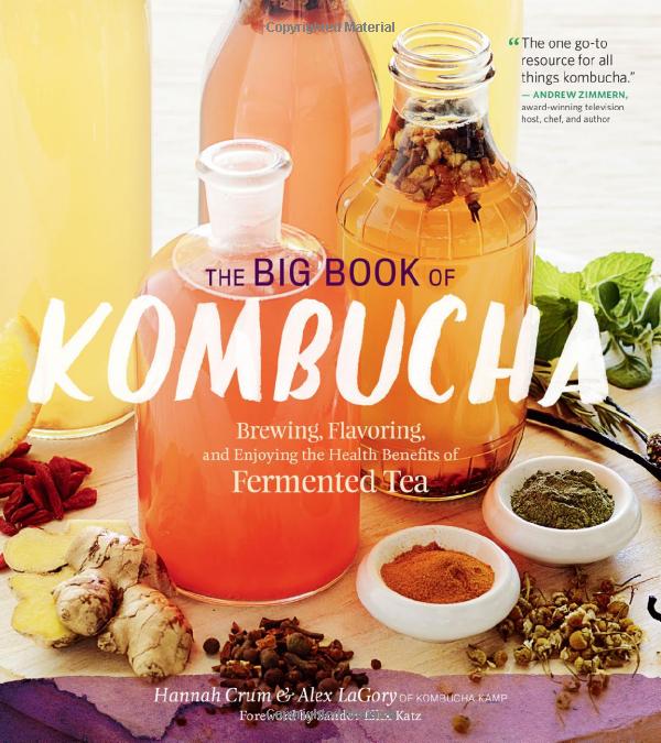 best books on kombucha