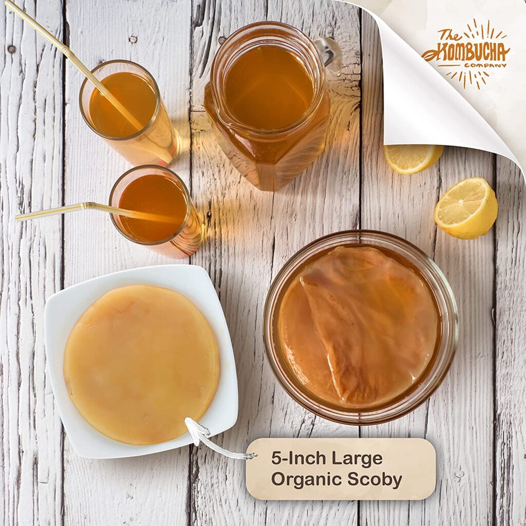 importance of scoby for brewing