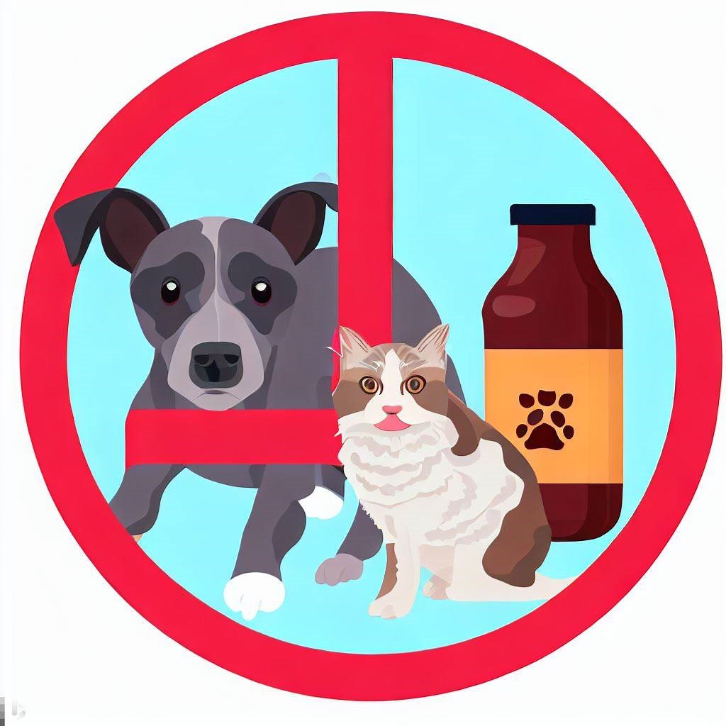 proceed with caution on kombucha and pets